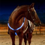 Rechargeable LED Horse Visibility Chest Strap - Image 4