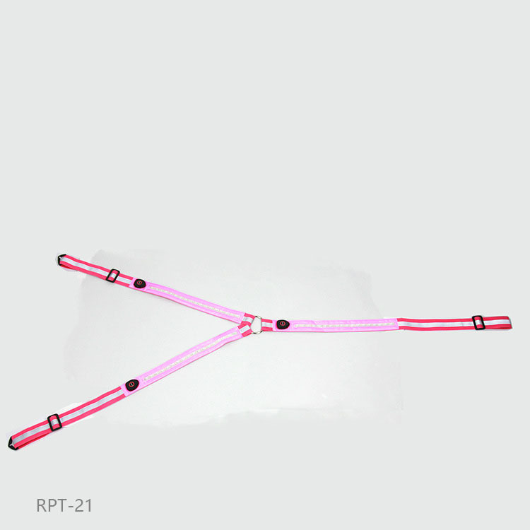 Equestrian LED light strip - Image 9