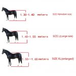 Horse jumping boots PU Shell Leg Protector Set of 4 - Image 6