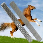Hoof Care Supplies: Double-Sided Horseshoe and Hoof File