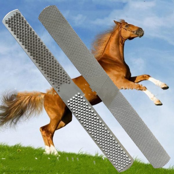 A Two-headed Horseshoe File For Repairing The Hoof