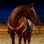 Rechargeable LED Horse Visibility Chest Strap - Image 5