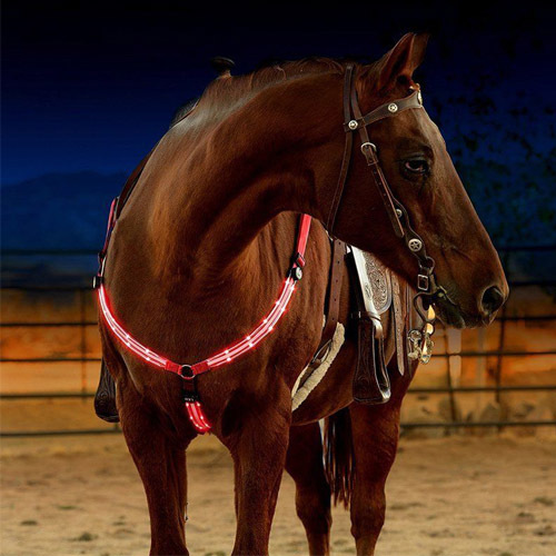 Equestrian LED light strip - Image 5