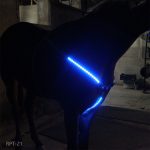 Rechargeable LED Horse Visibility Chest Strap - Image 3
