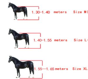 PU Shell Horse Leg Guards Set of 4 - Image 8