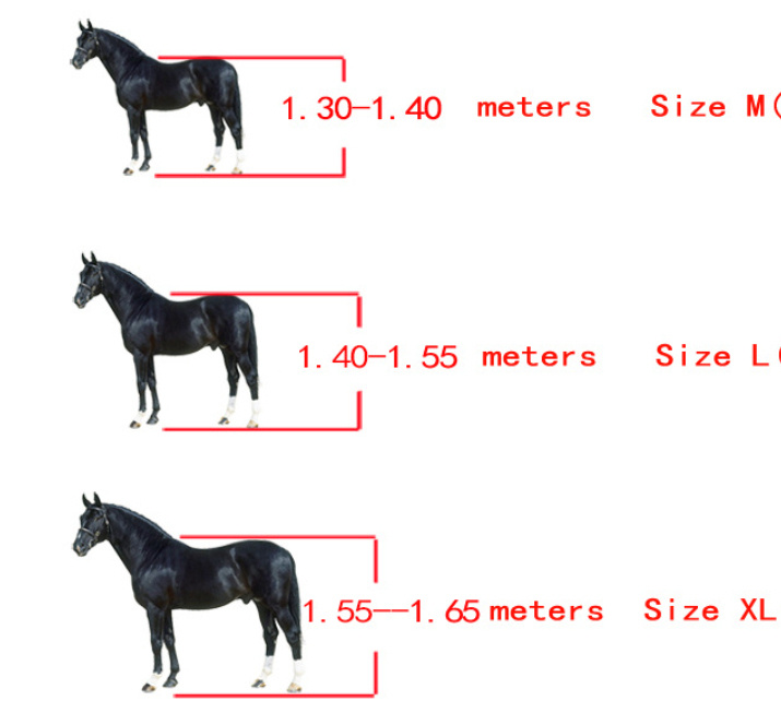 No 4 Obstacle Horse Leg Guard Horse Leggings PU Shell - Image 8