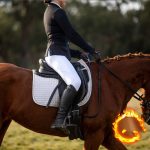Women’s jodhpurs for horse riding – Silicone Grip Breeches - Image 6