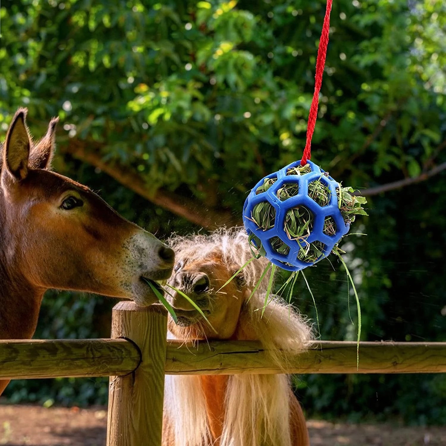 Stable Hanging Hay Feeder Toy Ball