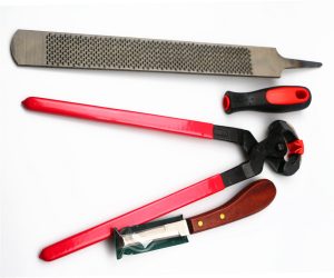 Hoof Care Supplies: 14 Inch Horse Hoof Care Tool Set - Image 2