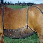 Horse Breathable Mesh Belly Guard Vest - Image 4