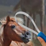 grooming for dogs: Horse Grooming Shedding Blade with Non Slip Handle - Image 4