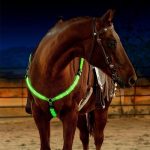 Rechargeable LED Horse Visibility Chest Strap