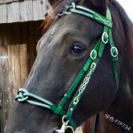 PU Leather horse bridle with Cavesson Noseband & Decorative Browband - Image 5