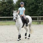 Horse Boots Leg Protection with Hoof Guards Set of 4