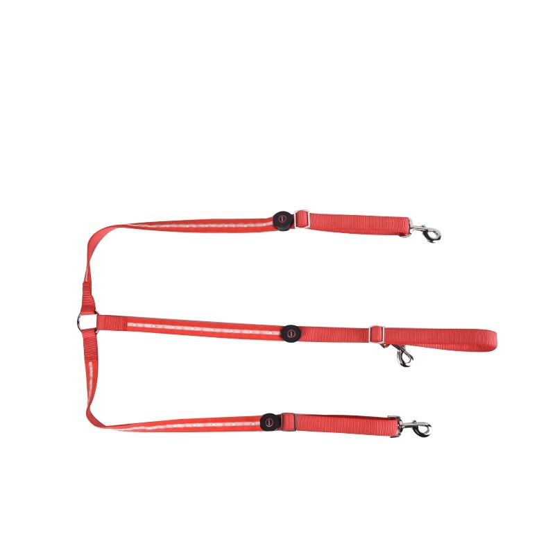 Equestrian LED light strip - Image 10