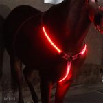 Rechargeable LED Horse Visibility Chest Strap - Image 2