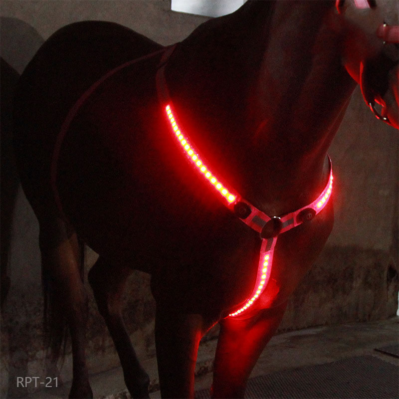 Equestrian LED light strip - Image 2
