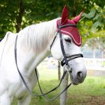 Leather Cavesson Horse Bridle with Matching Reins
