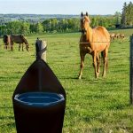 Equine Bag Horse Trailer Hanging Water Bucket Holder Feed Bag - Image 3