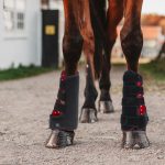 Equine Riding Boots: Portable LED Light Therapy Device for Horse Legs