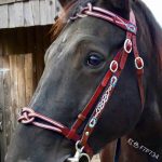 PU Leather horse bridle with Cavesson Noseband & Decorative Browband