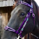 PU Leather horse bridle with Cavesson Noseband & Decorative Browband - Image 3