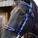 PU Leather horse bridle with Cavesson Noseband & Decorative Browband - Image 4