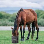 Adjustable Mesh Equine Bag Horse Feed Feeding Bag - Image 7