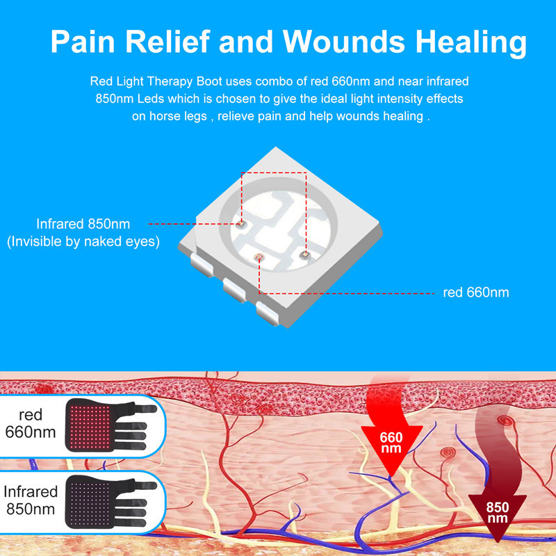 Portable Phototherapy For Horse Legs - Image 3