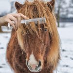 Grooming for Dogs | Horse Grooming Comb with Bent Hook Handle
