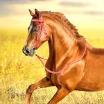 Adjustable Nylon Horse Bridle with Snaffle Noseband - Image 2