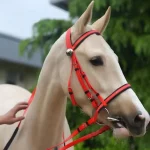 AIXIAORU XDC365 PP Horse Bridle with Reins and Bit - Image 2