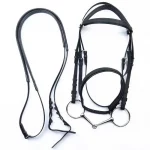 AIXIAORU XDC365 PP Horse Bridle with Reins and Bit