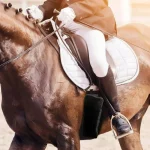 Horse Girth Cover Soft Sweat-Absorbing Cinch Protector - Image 2