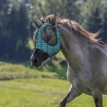 Fly Masks – Horse Fly Face Cover With Ears - Image 2