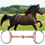 drill and bits: Copper Corkscrew Snaffle Bit – 5 Inch - Image 2