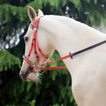 AIXIAORU XDC365 PP Horse Bridle with Reins and Bit - Image 3
