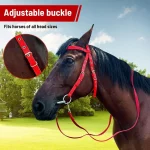 Adjustable Nylon Horse Bridle with Snaffle Noseband - Image 3