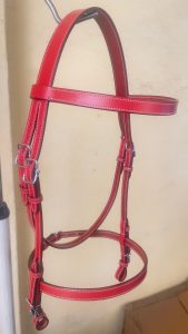 Joji Equestrian horse bridle – Plain Leather, Full Size