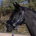 John Whitaker navy fleece-padded horse headcollar