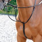 John Whitaker Barton black leather martingale