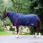 John Whitaker 250g turnout rug with detachable neck