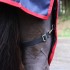 John Whitaker R444 turnout rug side view