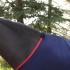Whitaker Rastrick V2 Fleece Rug - Image 5